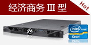  经济商务III型服务器租用